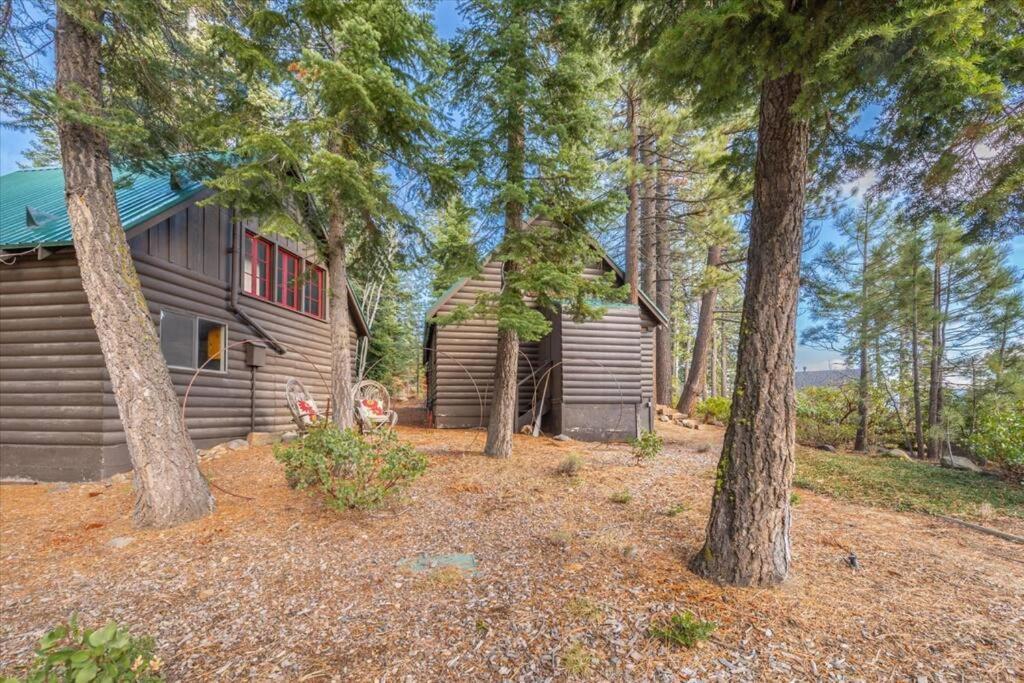 Coziest Cabin In Tahoe W Stone Fireplace Comfy Beds Close To Slopes & Lake Carnelian Bay Exteriér fotografie